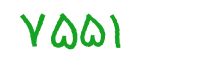 security code
