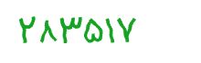 security code