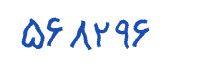 security code