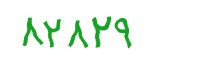 security code
