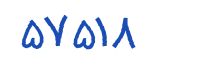 security code