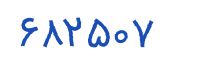 security code