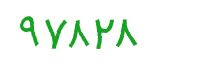 security code