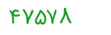security code