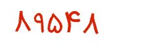 security code