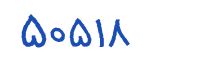 security code