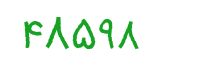 security code