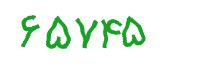 security code