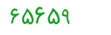 security code