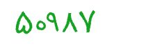 security code
