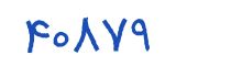 security code