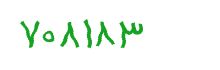 security code
