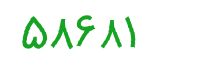 security code