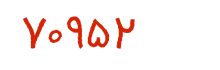 security code