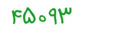 security code