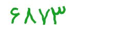 security code