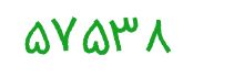 security code