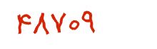security code