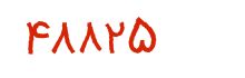 security code