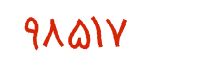 security code