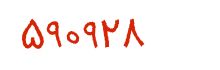security code