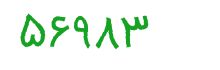 security code