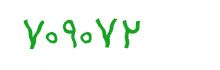 security code