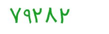 security code