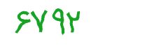 security code