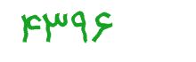 security code