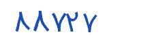 security code