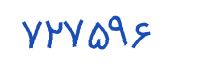 security code