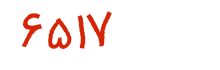 security code