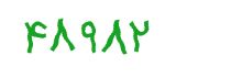 security code