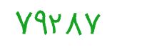security code