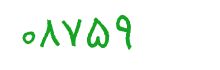 security code