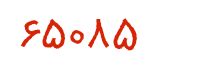 security code