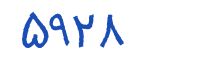 security code