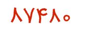 security code