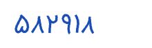 security code