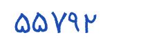 security code