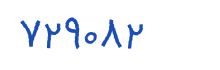 security code