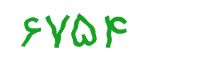 security code