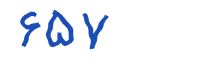security code