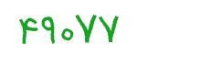 security code