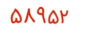 security code