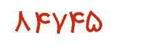 security code
