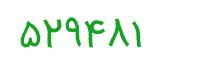 security code