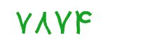 security code