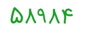 security code